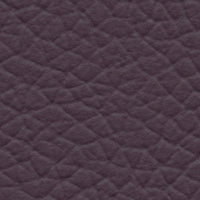 Jewelfish (AU623)
