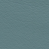 Joplin (VP588)