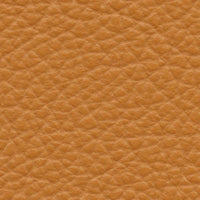 Latino (AD6024)