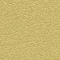 Lemonade (VP519)