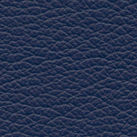 Mariana Trench (VP510)