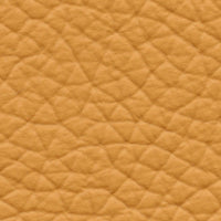 Mayflower (AU633)