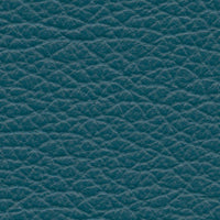 Miami Blue (VP568)