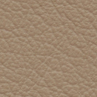 Patagonia (AD6012)