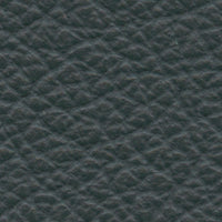 Puno (AD6030)