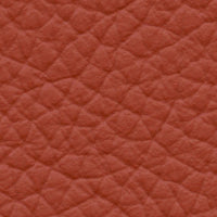 Sea Lion (AU619)