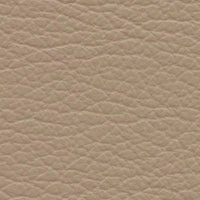 Serengeti (VP526)