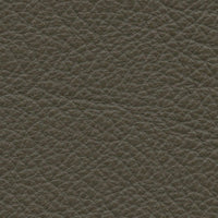 Shale (VP570)