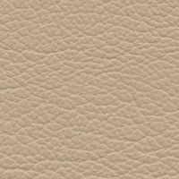 Sky Lantern (VP450)