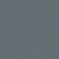 Sky (VP11)