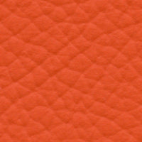 Tyger (AU650)