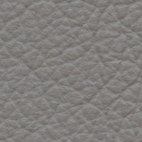 Vicuna (AD6009)