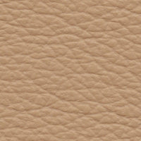 Volcan (AD6036)