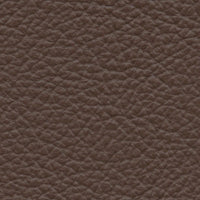 Walrus (VP527)
