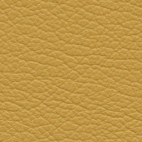 Yolk (VP563)