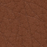 Arabica (DV146)