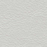 Arctic Tern (SA2059)