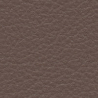 Armadillo (SA2095)