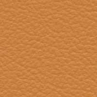 Azafran (ES8034)
