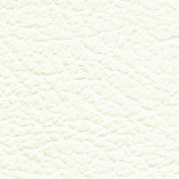 Beluga (AL5027)