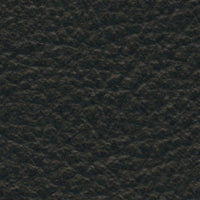 Black Lagoon (SA703)