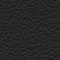 Black (SABLK)
