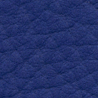 Bluebonnet (DV150)