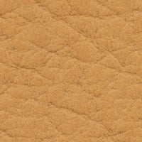 Brandy (DV112)