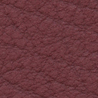 Cabernet (DV107)
