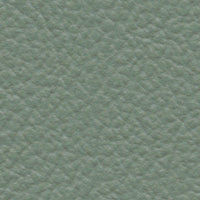 Celadon (SA776)
