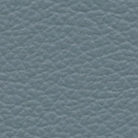 Cielo (ES8022)