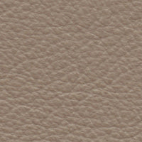 Clay (SA764)
