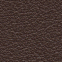 Coffee Bean (SA746)