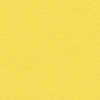 Dichroic Yellow (SA823)