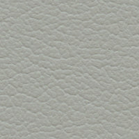 Dusty Miller (SA7084)