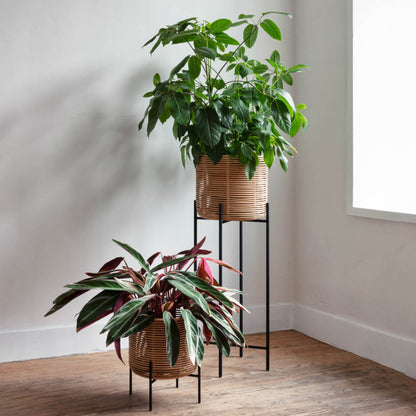 Round Rattan Vase VIVI by Vincent Sheppard